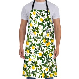 ainori - Delantal de cítricos naranja para mujer, 27 x 31 pulgadas, delantales de cocina de frutas con 2 bolsillos, Limón 01, 27 x 31 in