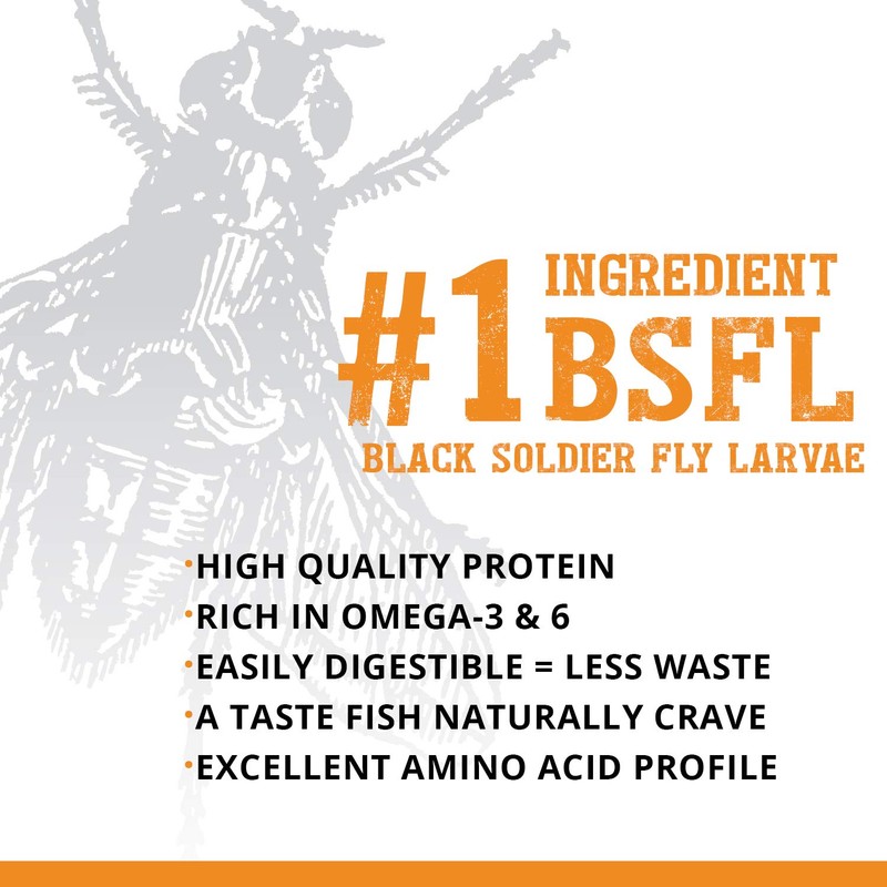 Fluval Bug Bites Goldfish Fish Food, Granules for Small to