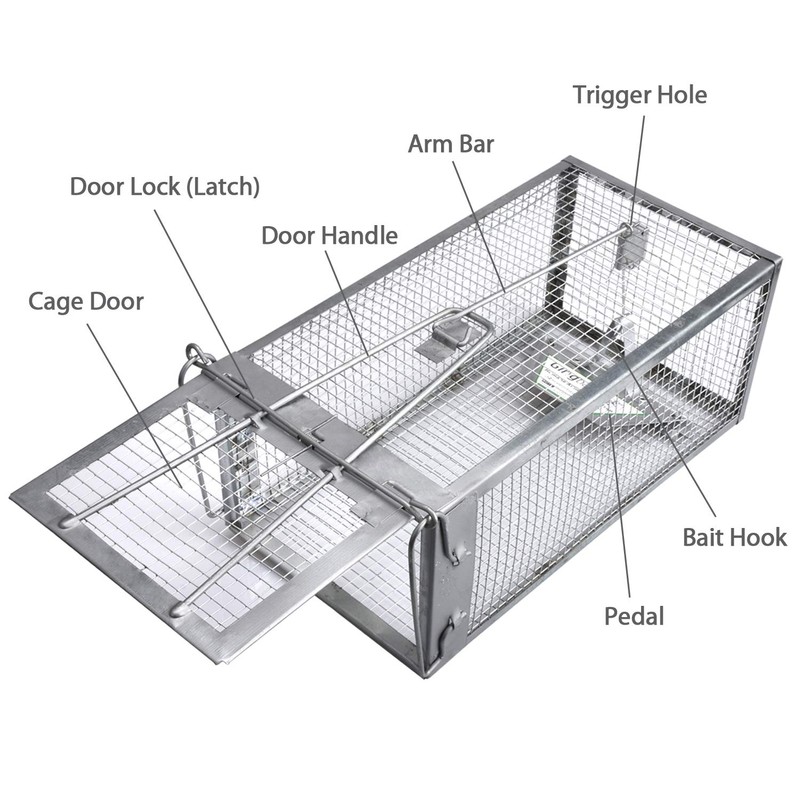 Gingbau Live Traps for Chipmunks Rats and Mice (Set of