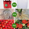 Cozioz 3-Pack Upside Down Hanging Tomato Planters – 3 Gallon