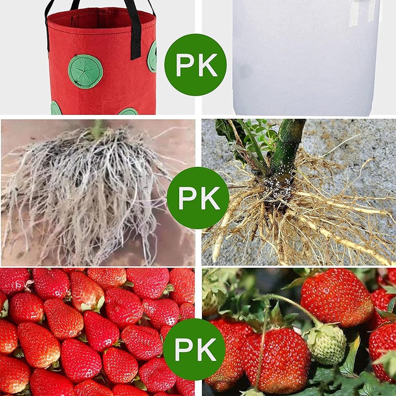 Cozioz 3-Pack Upside Down Hanging Tomato Planters – 3 Gallon