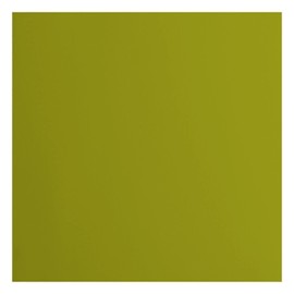 Vaessen Creative Florence Cardstock Paper Green 216gsm Square 12" x 12" 20 Pack Smooth Paper for Scrapbooking, Card Making, Die Cutting and Other Paper Crafts