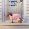 Lucky Pooch Dog Robe - Luxurious Dog Bathrobe - Ultra