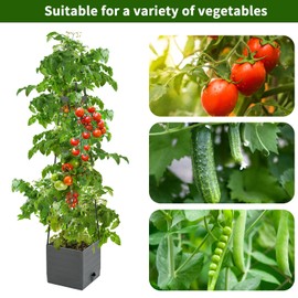 Qaobo Raised Garden Bed, Planter Boxes with Trellis 58.3'' Tomato Planters for Climbing Vine Vegetables Flowers Plants Self Watering Tomatoes Cage for Outdoor Patio Greenhouse