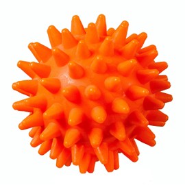 Brinkmann Medical Spikey Ball