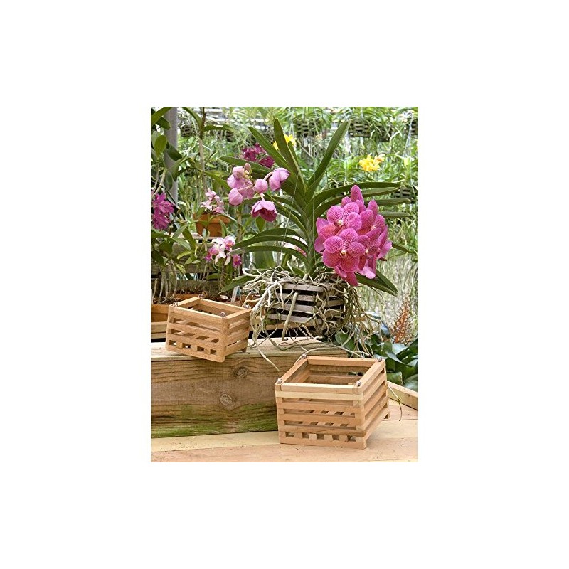 4" Natural Wooden Square Hanging Basket Outdoor Garden Planters 2-Pack