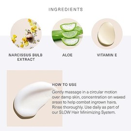 European Wax Center Travel Slow Hair Growth Aloe Body Polish, exfoliante corporal hidratante y exfoliante, previene pelos y protuberancias encarnadas,