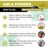 Forest Herbs 100% Natural Organic Amla Powder For Hair Growth