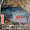 DAIWA Mini 00 Vegas Stick Tough