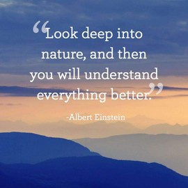 Fabulous Poster Albert Einstein Look Deep Inspirational Quote Motivation