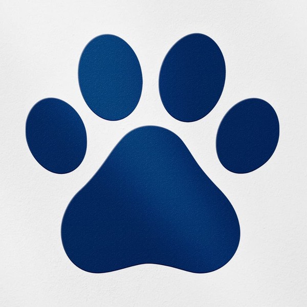 Transparent Decal Stickers of Dog Paw (Navy Blue) Premium Waterproof