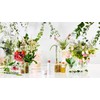 Physicians Formula Organic Wear Tinted All Natural Lip Balm Treatment