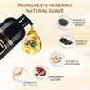 Black Hair Dye Shampoo 3 in 1, Shampoo para Canas