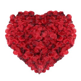 Naler 2000 Pétalos de Rosa de Seda Artificial Rojos para el Día de San Valentín, Proponer, Flores de Boda, 4,5 cm Confeti, Dispersión de Mesa
