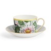 Wedgwood Wanderlust Water Lily Tea Cup & Saucer Imperial 6.8