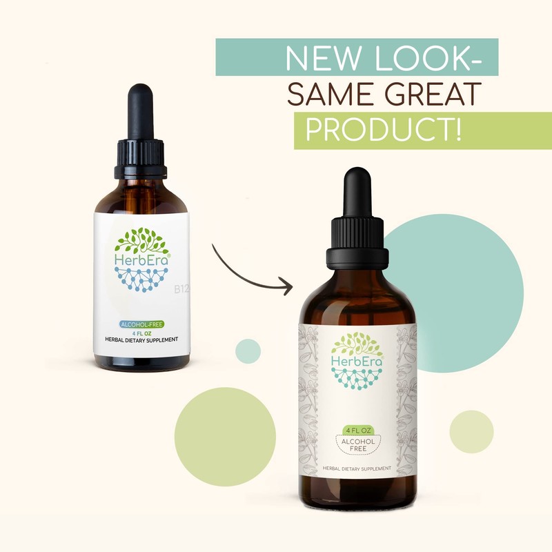 Corn Silk B60 Alcohol-Free Herbal Extract Tincture, Concentrated Liquid Drops