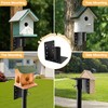 79-Inch Heavy-Duty Rustproof Bird Feeder Pole with 5-Prong Base -