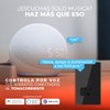 Tecnolite Connect - Apagador con Contacto Inteligente WiFi 1 Botón
