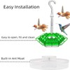 LimCryspp Shirem Hummingbird Feeder for Outdoors - 30 Flower Feeding