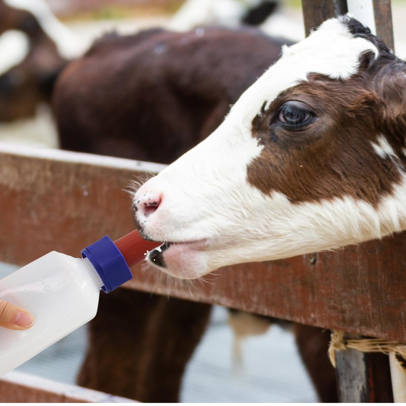 2PCS Calf Feeder Milk Bottle Livestock Drinking Bottles Calves Nursing