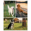 Joytale Long Leash for Dog with Removable Padded Handle, Heavy