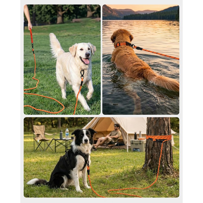 Joytale Long Leash for Dog with Removable Padded Handle, Heavy