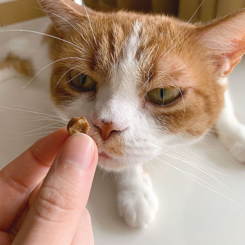 Petio Plant Neko-chan Toothpaste, Dental Crunch, Small Grain Type, Tuna