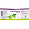 Ginkgo Biloba 6000mg 365 capsules – High Dose – Month Pack – Premium Quality – Made in Germany