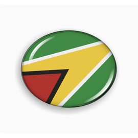 Flag of Guyana | 3D Domed CAR Emblem Badge Sticker Flexible Round