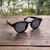 LUXSTAR Sunglasses, Polarized Dimming Lens, Men's, Women's, Smoke Color Lens,
