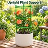3-Tier Plant Support Rings for Potted Plants – 9-Piece Green
