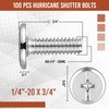 Blulu 100Pcs 1/4"-20 Hurricane Shutter Bolts, Sidewalk Screws Bolts Truss