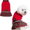PAWCHIE Dog Sweater Dress with Bowtie - Dog Turtleneck Pullover