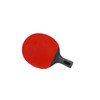 Table Tennis Paddles Set with 2PCS Penholds and 3PCS Balls
