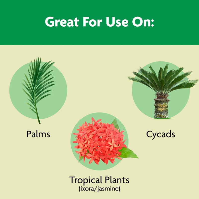 Miracle-Gro Palm Tree Food, Plant Food for Deep Green, Faster