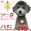 Cat Dog Metal Lanyard with Clip for Dogs and Cats,