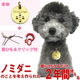 Cat Dog Metal Lanyard with Clip for Dogs and Cats, Fleas and Mites, Just Put On Your Neck, Can Be Used For 2 Years