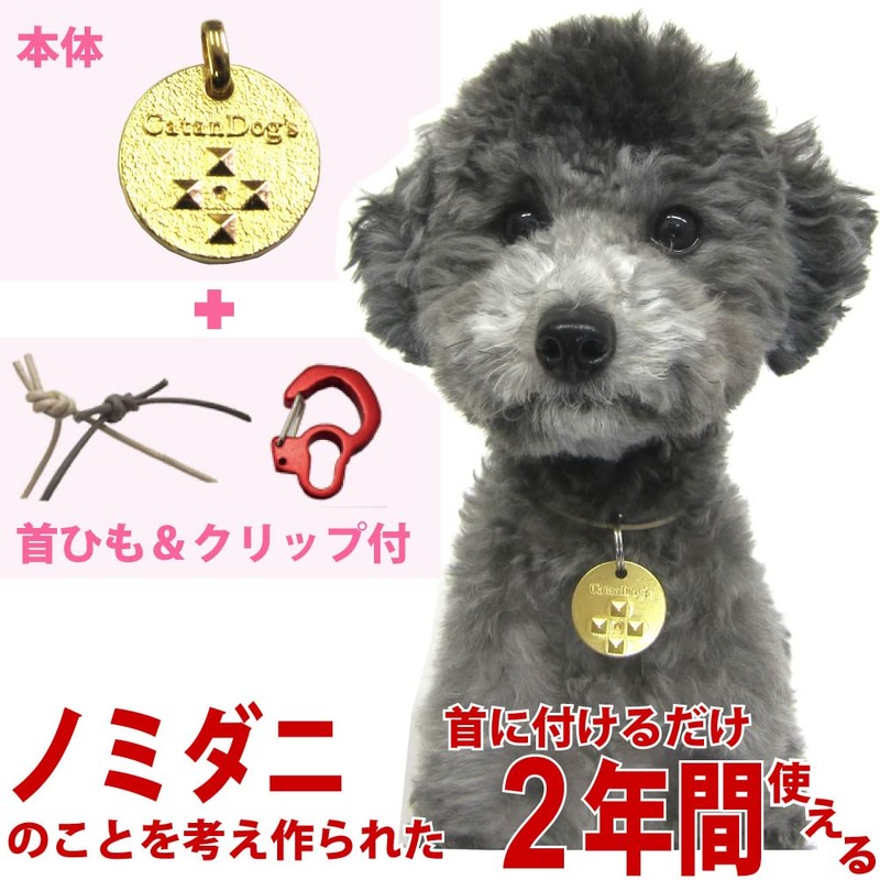 Cat Dog Metal Lanyard with Clip for Dogs and Cats,