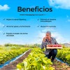 Blanca Probióticos Mujer Vitalitown Prebióticos Enzimas Digestivas Arándanos Vegano Omg