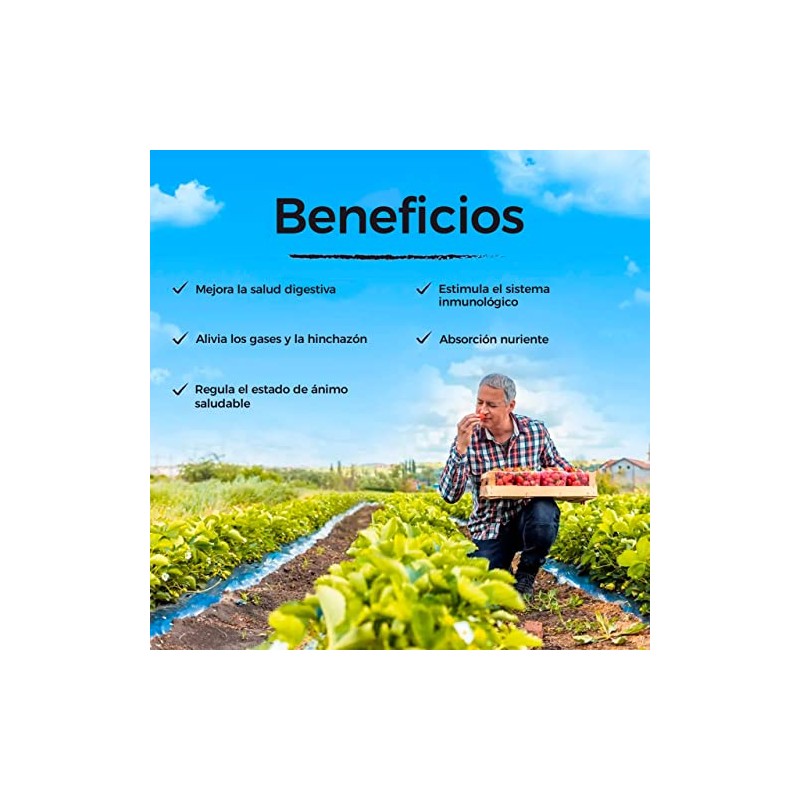 Blanca Probióticos Mujer Vitalitown Prebióticos Enzimas Digestivas Arándanos Vegano Omg