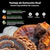 InmunoFunga - Extracto de 5 Hongos | Tintura de Doble