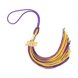 2025 Graduation Cap Tassel with Year Gold Date Charms, Party Decorations, Charm Ceremonies Accessories for Graduates, Purple Gold