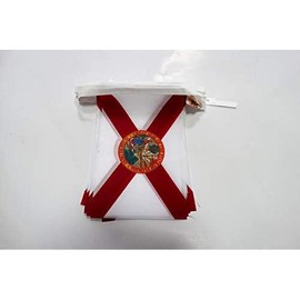 AZ FLAG Florida Flag Chain 12 Metres with 20 Flags 45 x 30 cm State Florida Garland 30 x 45 cm