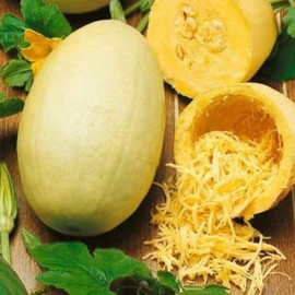 CEMEHA SEEDS - Seeds Zucchini Courgette Squash Spaghetti Yellow Non GMO Vegetable for Planting