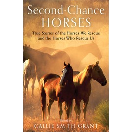 Second-Chance Horses: True Stories of the Horses We Rescue and the Horses Who Rescue Us