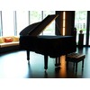 Kaieyres Grand Piano Cover, Velvet Piano Cover Decorative Full black