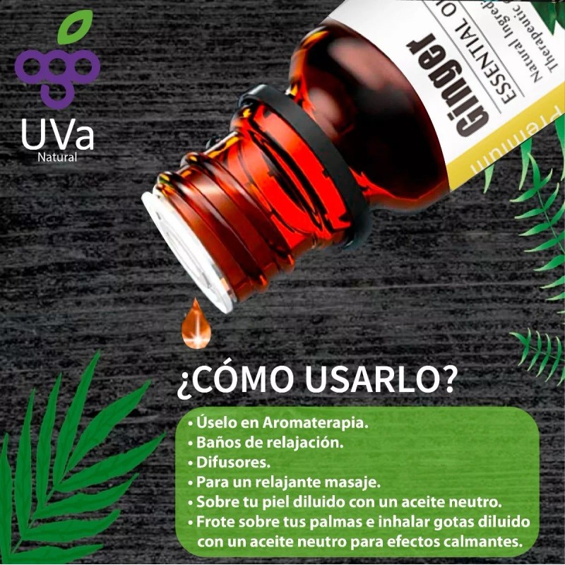 UVa Natural Aceite Esencial De Jengibre 100% Natural Puro Uva