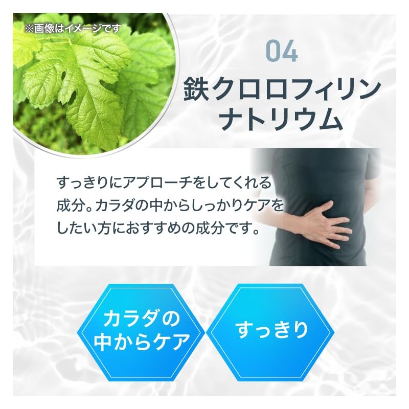井藤漢方製薬 ニオイケアサプリメント【DA･TE･O NIO-I 30日分】