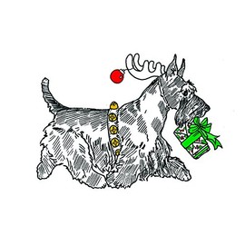 Scottish Terrier Christmas Card (Blank Inside)