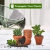 vensovo 3 Inch Terra Cotta Pots with Drainage - 20